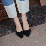CHICDEAR 2023 New Spring/Autumn Women Shoes Pointed Toe Thin Heel Pumps For Women Mixed Colors High Heels Elegant Sheep Suede Shoes